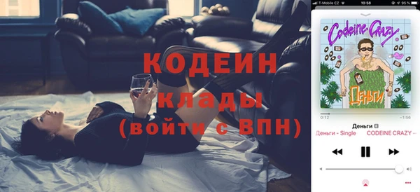 амф Гусь-Хрустальный