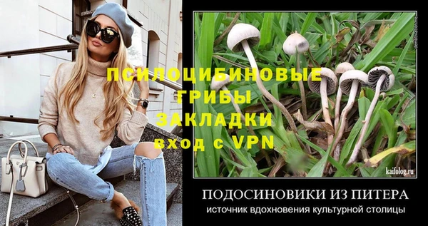 МДПВ Горно-Алтайск