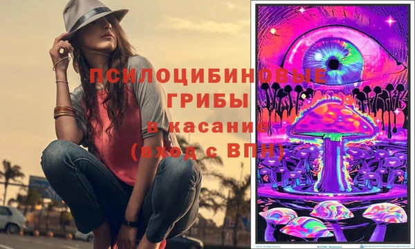 МДПВ Горно-Алтайск